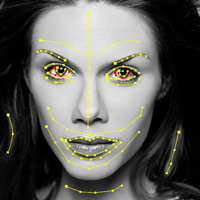 Colorize Strokes