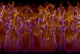 TURBULENCE.2D Fluid Simulation