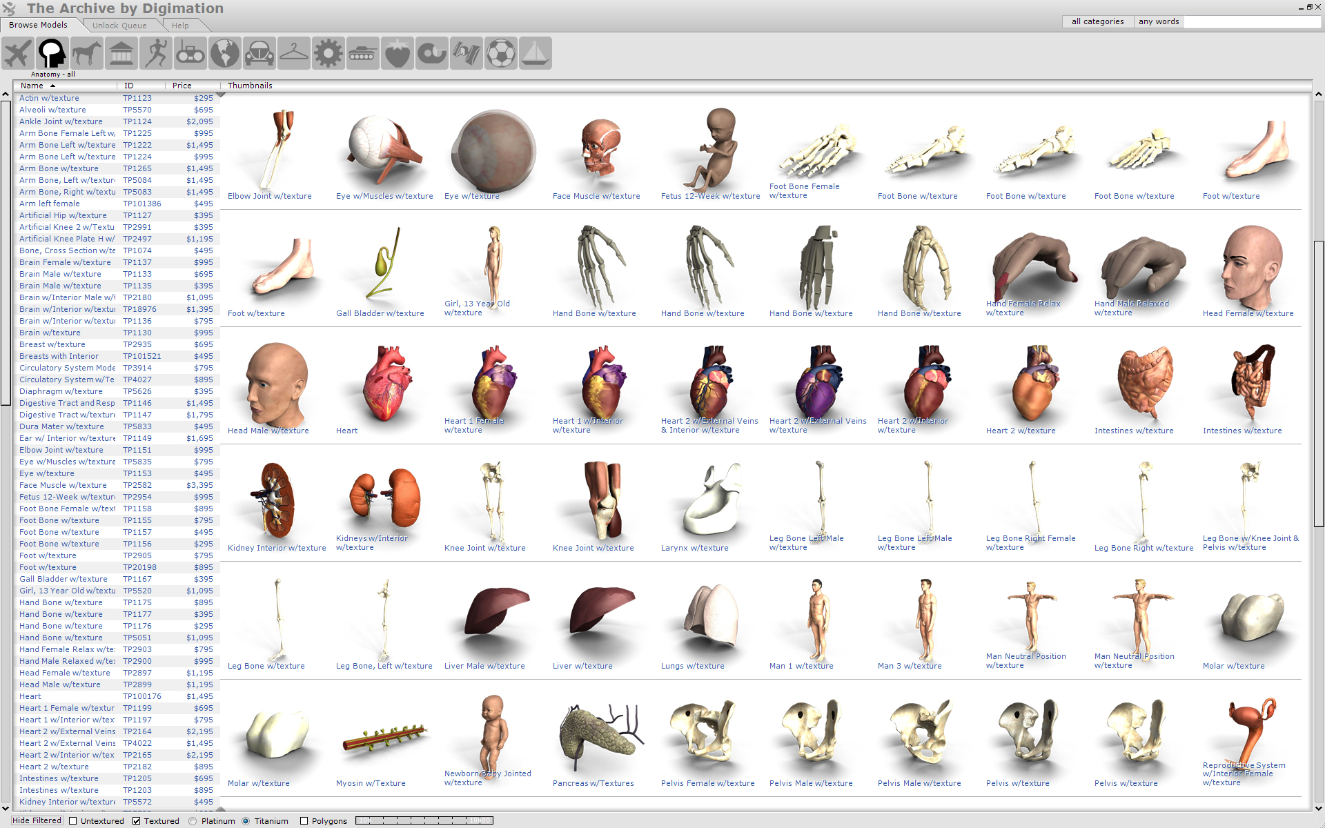 Anatomy