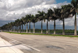 DOSCH DESIGN HDRI USA Road Backplates